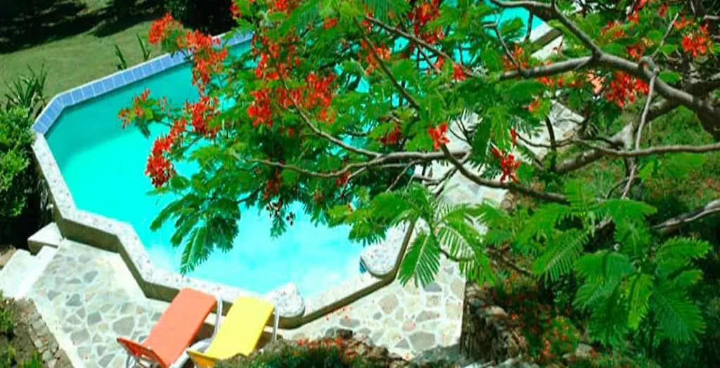 ** Aparthotel Sugarapple Inn Saint Vincent Saint Vincent and the Grenadines
